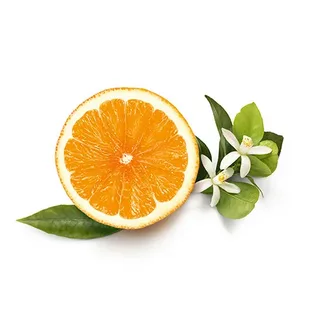 تصویر 4 از قیمت با کیفیت ارزان کنسانتره نارنج چابکسر + خرید عمده